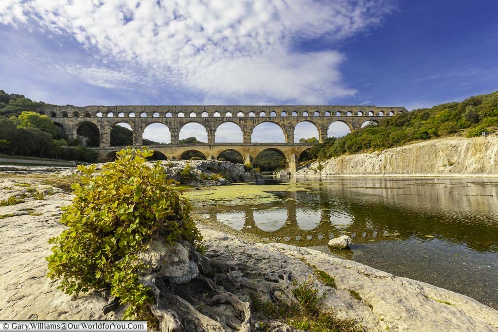 A bush on the river edge and beyond the three levels of arches of the Pont du Gard in provence in southern france