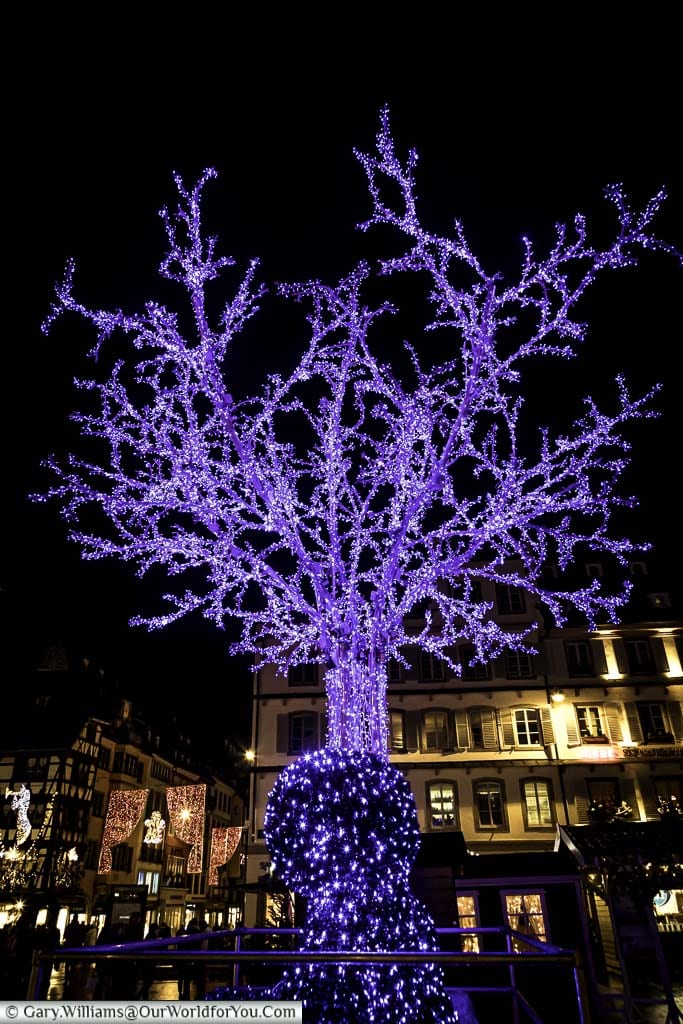 A lifesize artificial Christmas tree made entirely of blue fairy light stand in Place Gutenberg in Strasbourg.
