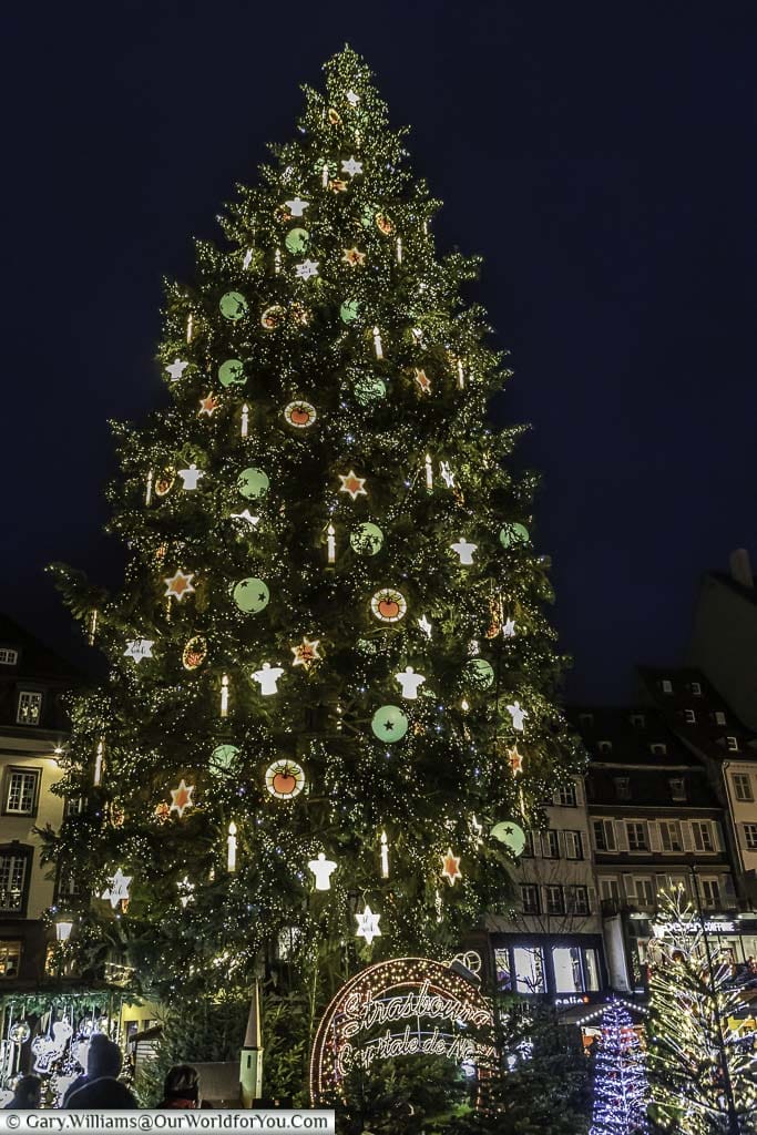 Looking up at the giant Christmas tree in Place Kléber at night. This is the centrepiece of the cities Christmas Markets in Strasbourg. The Christmas tree is brightly decorated with fairy lights and illuminated decorations.