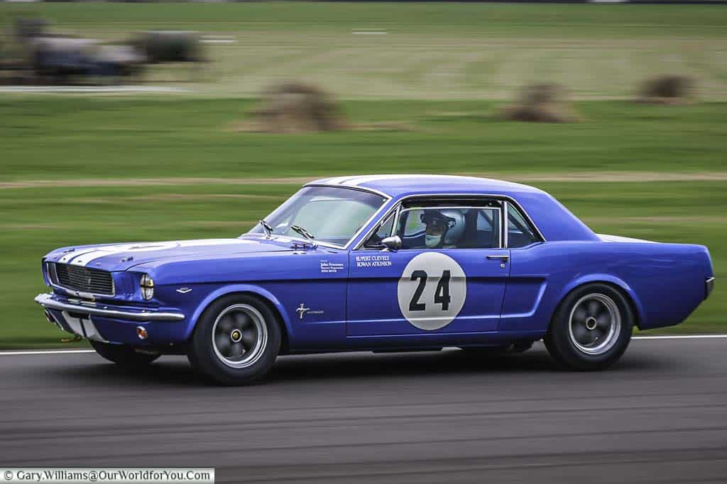 rowan atkinson driving a metallic blue 1965 ford mustang at the goodwood revival classic car race meeting