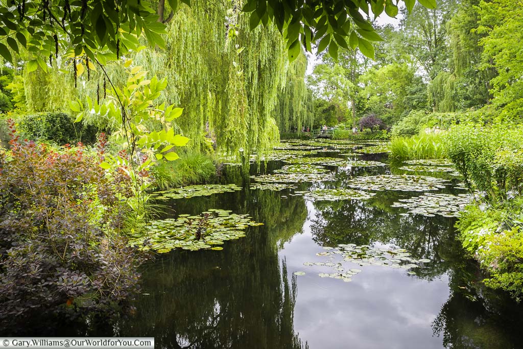 The view across the lily pond to a green footbridge in the distance in Claude Monet's gardens in Giverny, Normandy
