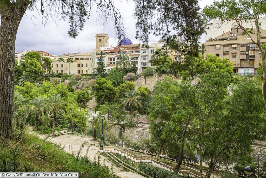 A panoramic view of a Elche’s skyline from Elche’s municipal park. Lush green trees and bushes line the foreground, with a walking path winding through the park.