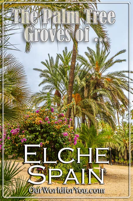 The pin image of our post - 'The Palm Tree Groves of Elche, Spain'