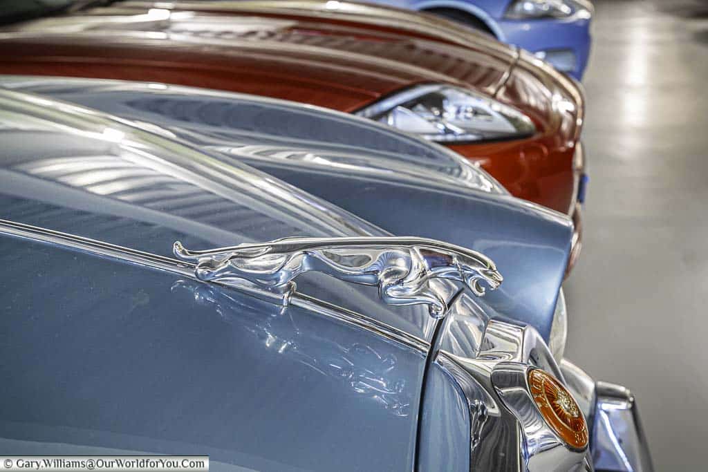 A side profile of the leaping Jaguar bonnet ornament from a 1960s Jaguar car